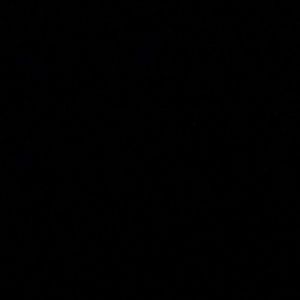 Meet your Posher, Bailey